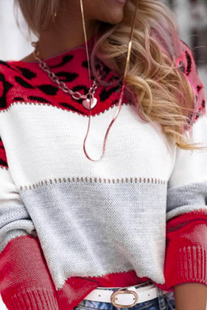 Femme Pull Oversize - Tricot Doux - Motif Animal - Bordures Côtelées - Décontracté