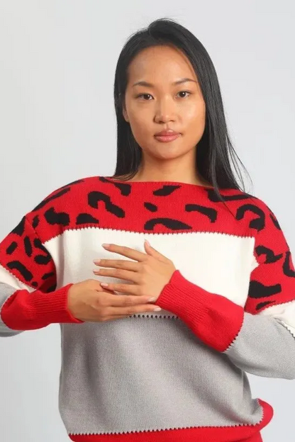 Femme Pull Oversize - Tricot Doux - Motif Animal - Bordures Côtelées - Décontracté